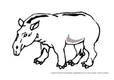 Tapir.pdf